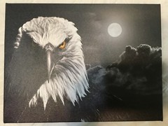 NEW Eagle Black & White Canvas Wall Art Print Home Birds Decor 12×16 inch