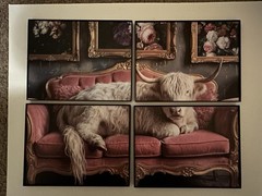 4 Piece Framed 11×9 Photo Set Wall Art Decor