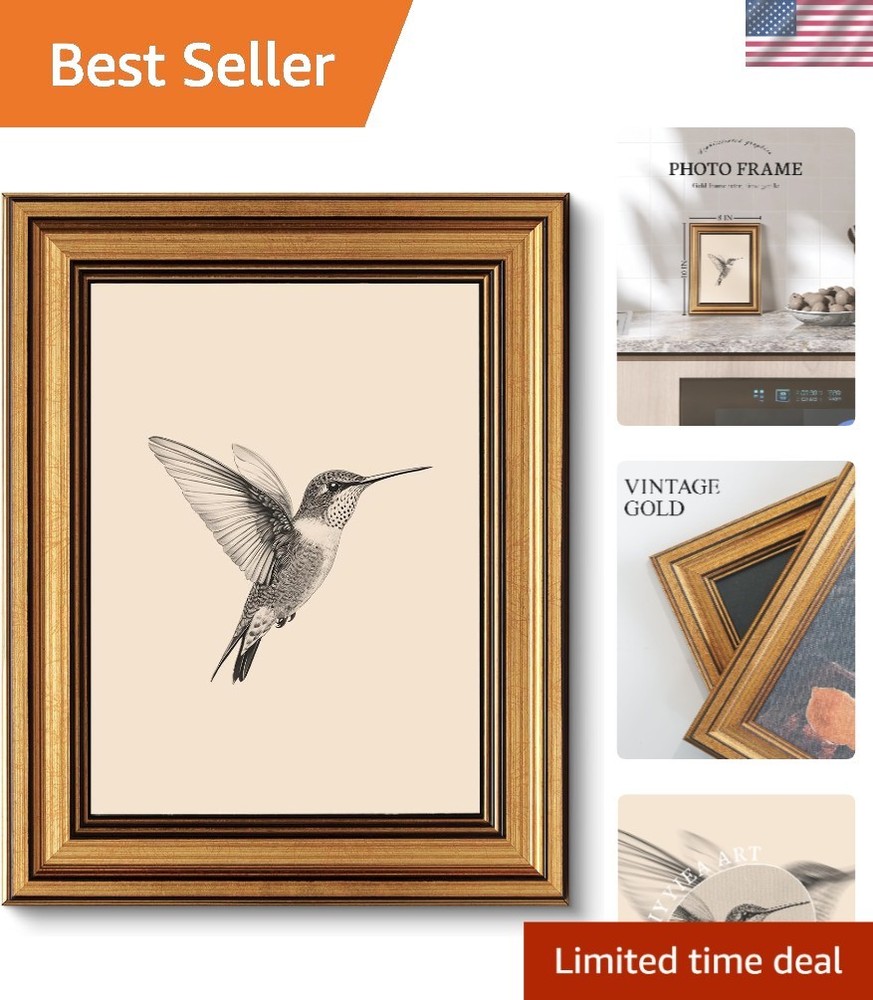 Elegant Vintage Gold Framed Canvas Hummingbird Art – 10L x 8W for Living Space