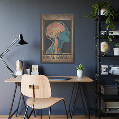 BASAL GANGLIA Brain Anatomy Poster, Biology Neuroscience Intuition Science Decor