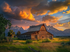Farm Rustic Cattle Cowboy High Quality Canvas/Photo Paper PA56