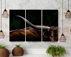 Texas Longhorn Cow Canvas Wall Art 3-Panel Framed Print, Farmhouse Animal Decor