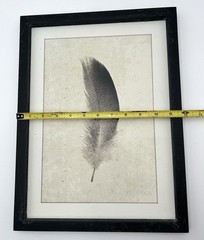 Set Of 2 Frames Wall Art Bird Feathers Hanging NEW/OPEN BOX.