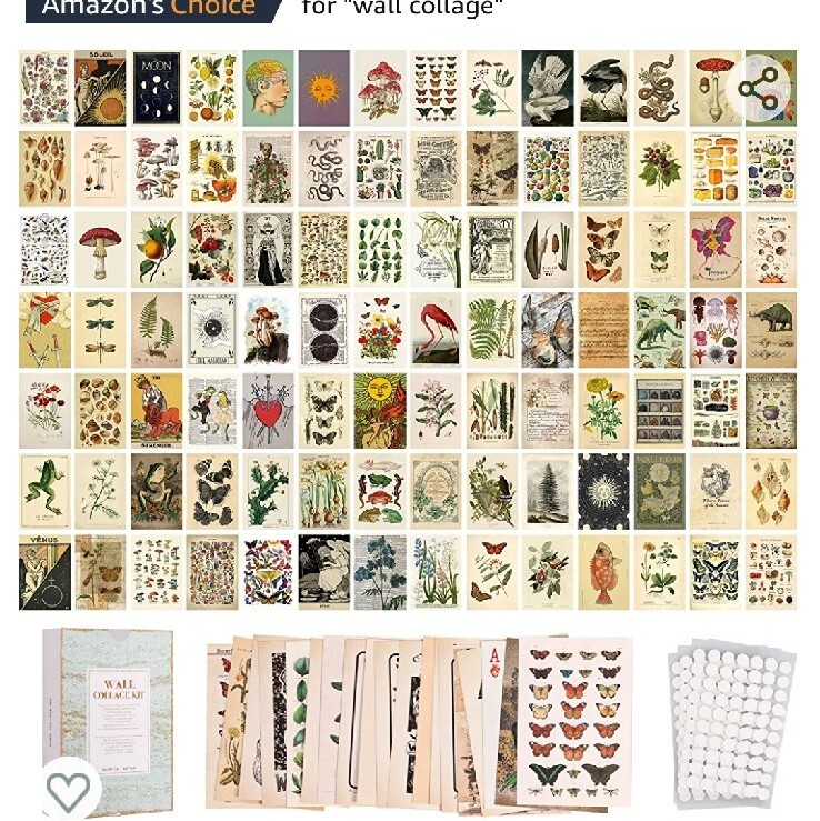 Wall Collage Kit Aesthetic Posters, Double-Sided Printed Botanical Illustration