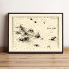 Galapagos Map, Galapagos 2D Relief Map, Ecuador Vintage Map – 2D Flat Print