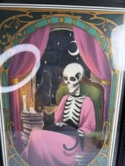 Sapna Shah The Introvert Skeleton Tarot Framed Wall Art Black Ornate Frame New