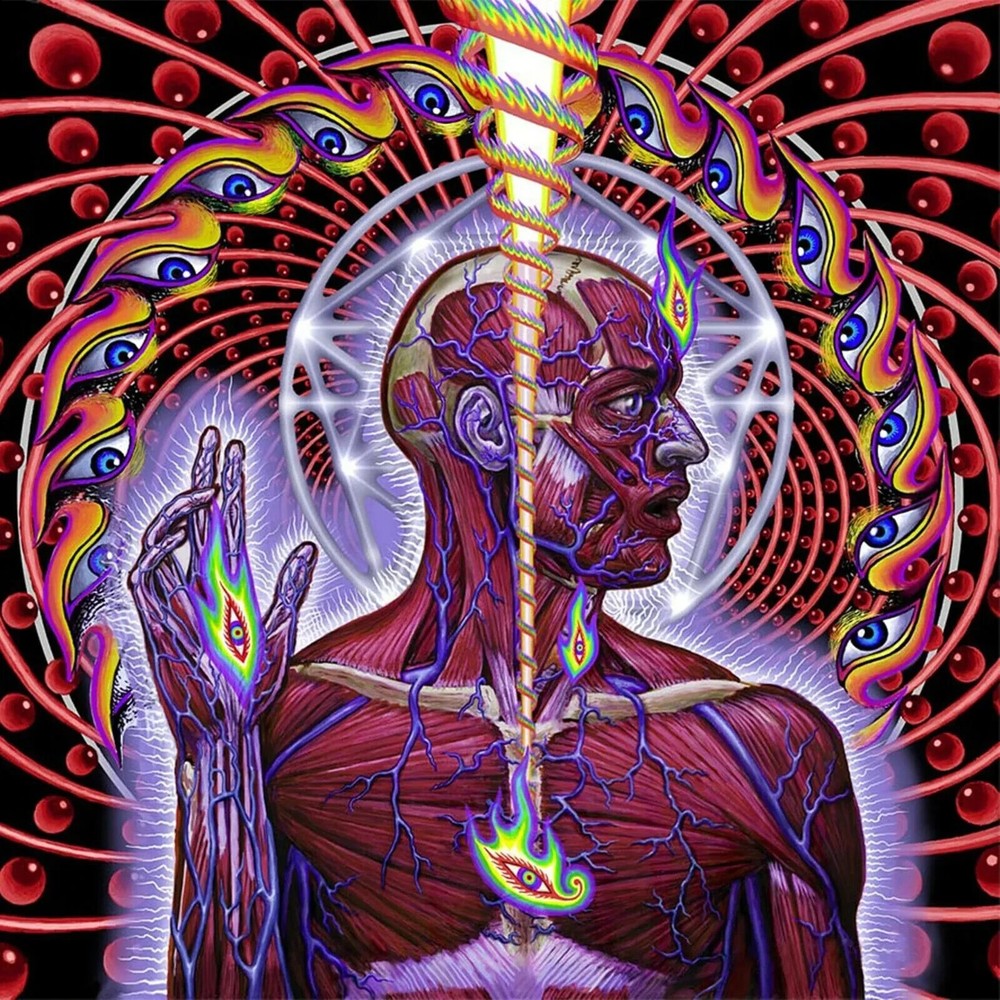 TOOL Lateralus Music Album Cover Poster Print 12 x 12