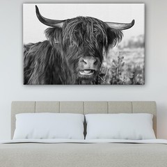 Highland Cattle Canvas Wall Art Print | Cows and Yaks Home Decor and Gifts
