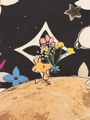 Death NYC Snoopy Woodstock Moon Louis Vuitton Stars Framed Space Art