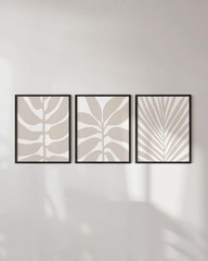 HAUS AND HUES Botanical Wall Art – Set of 3 Boho Posters for Room Aesthetic, …