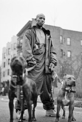 DMX Black and White Pitbull Poster 20×30 inches