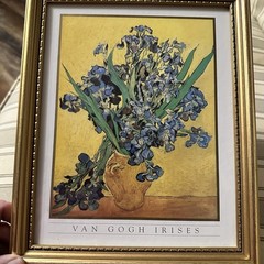 Vincent Van Gogh Irises Vase Flower Wall Picture Gold Framed Art Print 8” X 10”