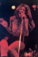 Hot Tina Turner Vintage 1970s Poster Gift For Fans YG219