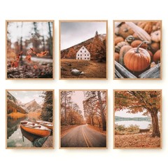 Roslynity Fall Nature Wall Art Prints Set of 6 8″x10″ UNFRAMED, Autumn