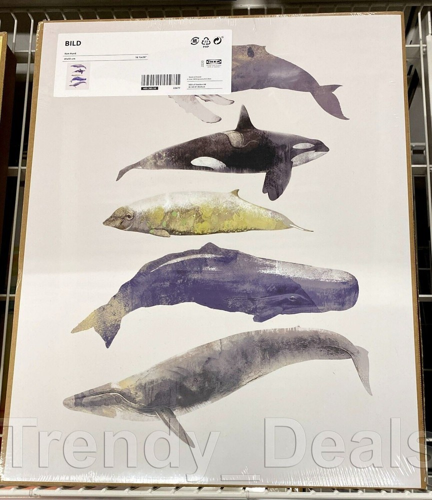 Ikea BILD Poster Picture 16 1/4″ x 20″ (No Frame), Whale Music – NEW