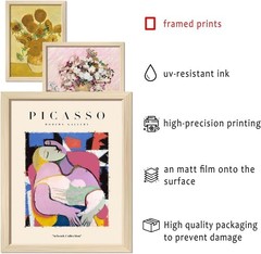Eclectic Framed Art Prints – 16-Piece Canvas Set for Bedroom & Living Room