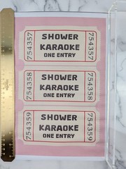 Vintage Pink Bathroom Wall Art Retro Shower Karaoke Ticket Canvas Print 8 x 10″