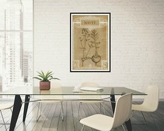 Turnip Botanical Drawing Print, French Navet Illustration Print 4 x 6″-16 x 24″