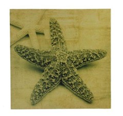 16″ Sepia Starfish Stretched Canvas Print -Nautical, Sea life Hanging Wall Decor
