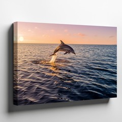 Wall Art Graceful Dolphin Leaps Joyfully From The Calm Ocean Waters Against A