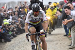 Peter Sagan Slovenska Bicycle Race Champion Wall Art Home Decor – POSTER 20×30