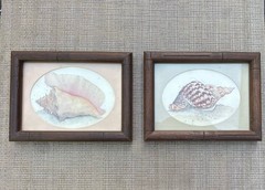 Set of 2 Coastal Seashell Wooden Framed Wall Art Nautical Beach Decor