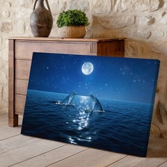 Serene Night Scene Featuring Two Dolphins Gracefully Emerging From The Wall Art