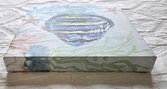 Set of Two 12″ x 12″ Stupell Industries Aquatic Striped Fish Canvas Wall Art