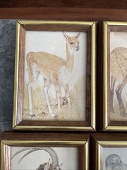 Set of 4 LK Powell Wildlife Prints Framed Rustic Cabin Wall Art Vintage Decor