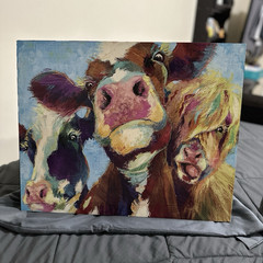 Multicolor Cow Portrait Canvas Print, Horizontal Animal Wall Art for Adults