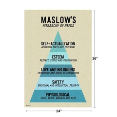 Maslows Hierarchy of Needs Motivational Therapy Doctor Chart Nurse Office Cool W