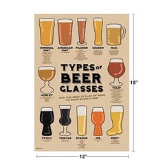 Types of Beer Glasses and Styles of Beer Reference Art Print Poster 12×18