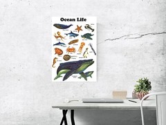 Ocean Life Poster, Starfish, Whale, Jellyfish, Dolphin, Shark, Lobster