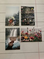 Ikea YLLEVAD Art card, Flowers4x6 «, 4 Pack