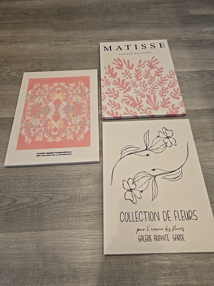 Abstract Floral Wall Art Pink White FLOWERS Matisse 3-Piece Set Canvas on Frame