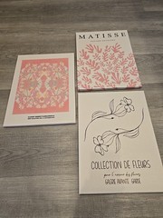Abstract Floral Wall Art Pink White FLOWERS Matisse 3-Piece Set Canvas on Frame