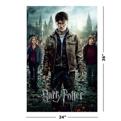 Harry Potter – 8 Piece Movie Poster Set (Regular Styles – Version 3) (24″ x 36″)