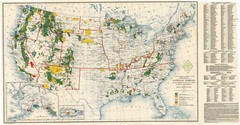 1939 Map of National Forests Parks Monuments and Indian Reservations Wall Poster