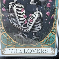 Sapna Shah «The Lovers» Skeleton Tarot Framed Wall Art Black Ornate Frame NEW