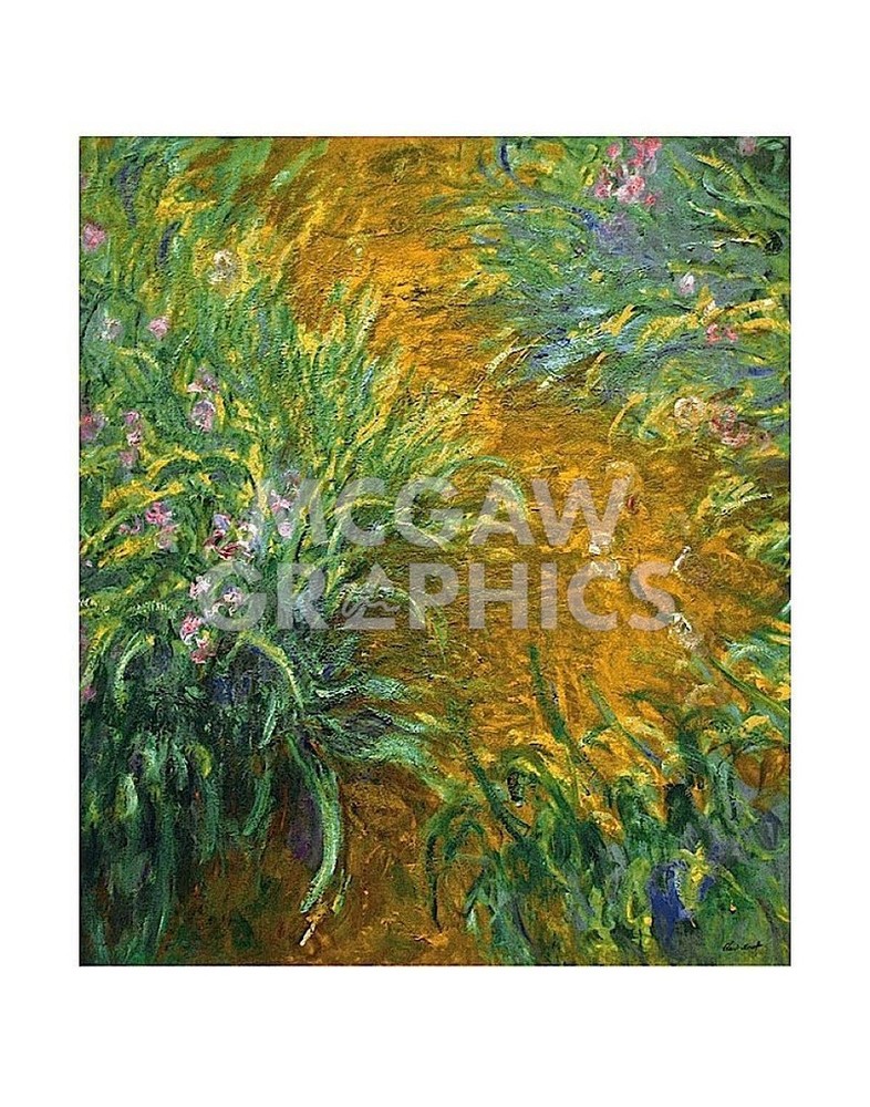 The Path in the Iris Garden, Claude Monet, Art Print Poster 14″ x 11″ 2028
