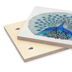 Wood Canvas