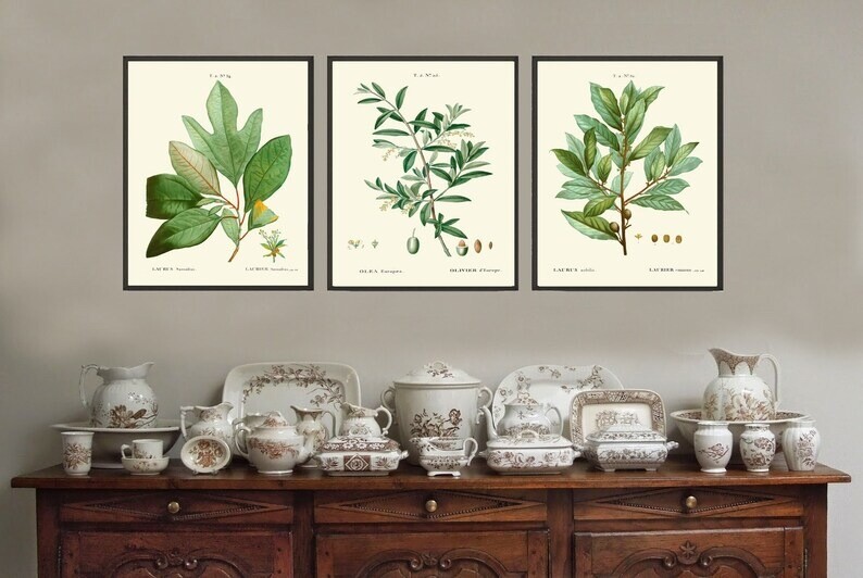 Kitchen Dining Room Wall Art Spices Herbs Bay Leaf Olive Laurel Print Unframed