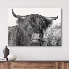 Highland Cow Scottish Cattle and Yaks Farm Animals Canvas Wall Art Print