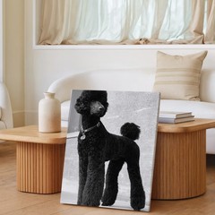 Elegant Black Standard Poodle Dog Canvas Wall Art Large Portrait Print Home