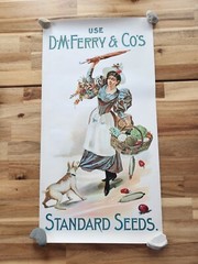 D.M. FERRY & COMPANIES STANDARD SEEDS ADVERTISING POSTER REPRINT? 24 X 12.5
