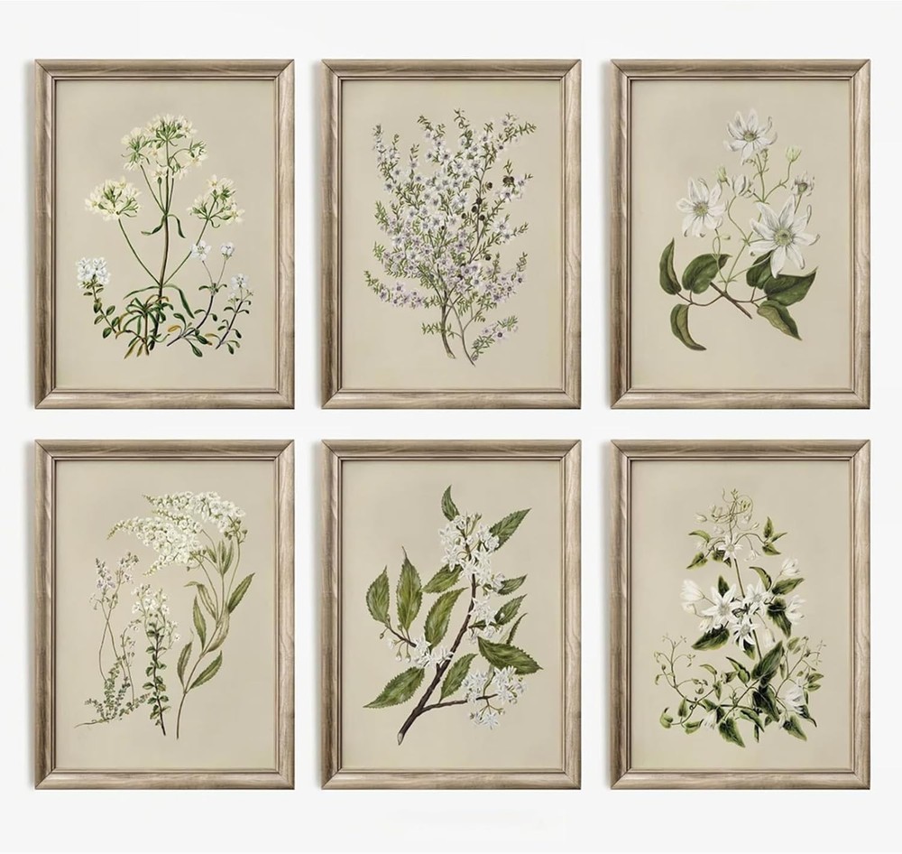 Vintage Botanical Wall Art Set of 6 Neutral Floral Canvas Wall Decor Wildflower