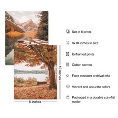 Roslynity Fall Nature Wall Art Prints Set of 6 8″x10″ UNFRAMED, Autumn