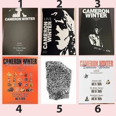 Cameron Winter Live Concert Tour December 2025 Poster