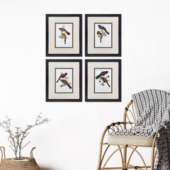 Gould 4 Piece Framed Canvas Transfer Animal Art Print 21 In. X 17 In.