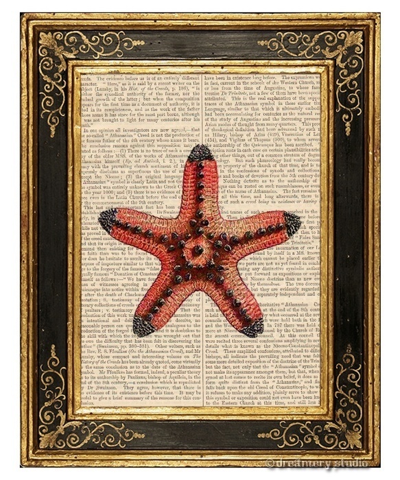 Red Starfish Art Print on Vintage Book Page Star Fish Nautical Home Decor Gifts